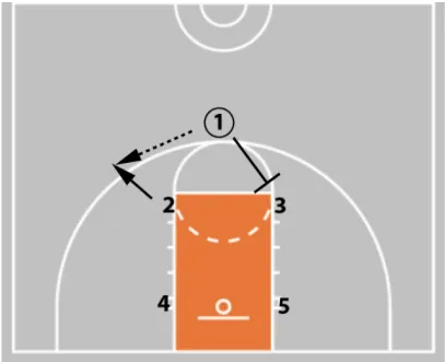 Coaching Beginner Basketball - Effective Drills & Coaching Tips Ages 5-8