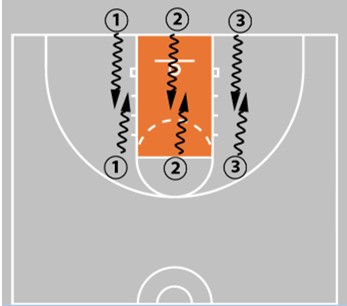 Coaching Beginner Basketball - Effective Drills & Coaching Tips Ages 5-8