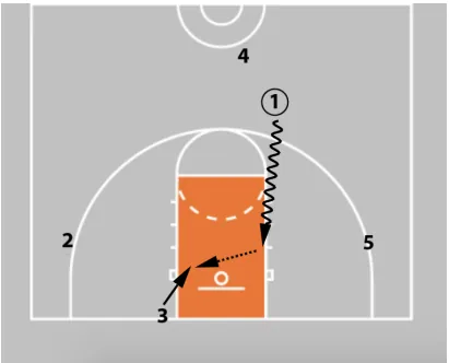 Coaching Beginner Basketball - Effective Drills & Coaching Tips Ages 5-8