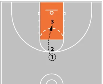 Coaching Beginner Basketball - Effective Drills & Coaching Tips Ages 5-8