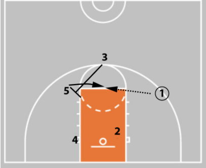 Coaching Beginner Basketball - Effective Drills & Coaching Tips Ages 5-8