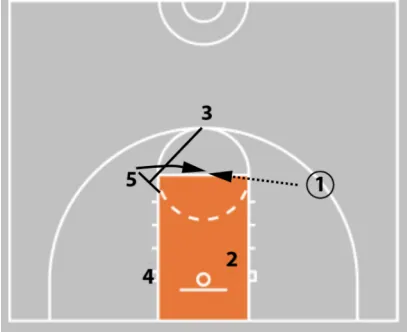 Coaching Beginner Basketball - Effective Drills & Coaching Tips Ages 5-8