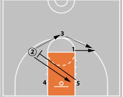 Coaching Beginner Basketball - Effective Drills & Coaching Tips Ages 5-8