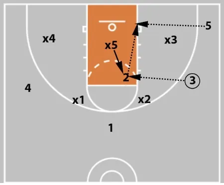 5 Out Basketball Offense - The Comprehensive Guide!