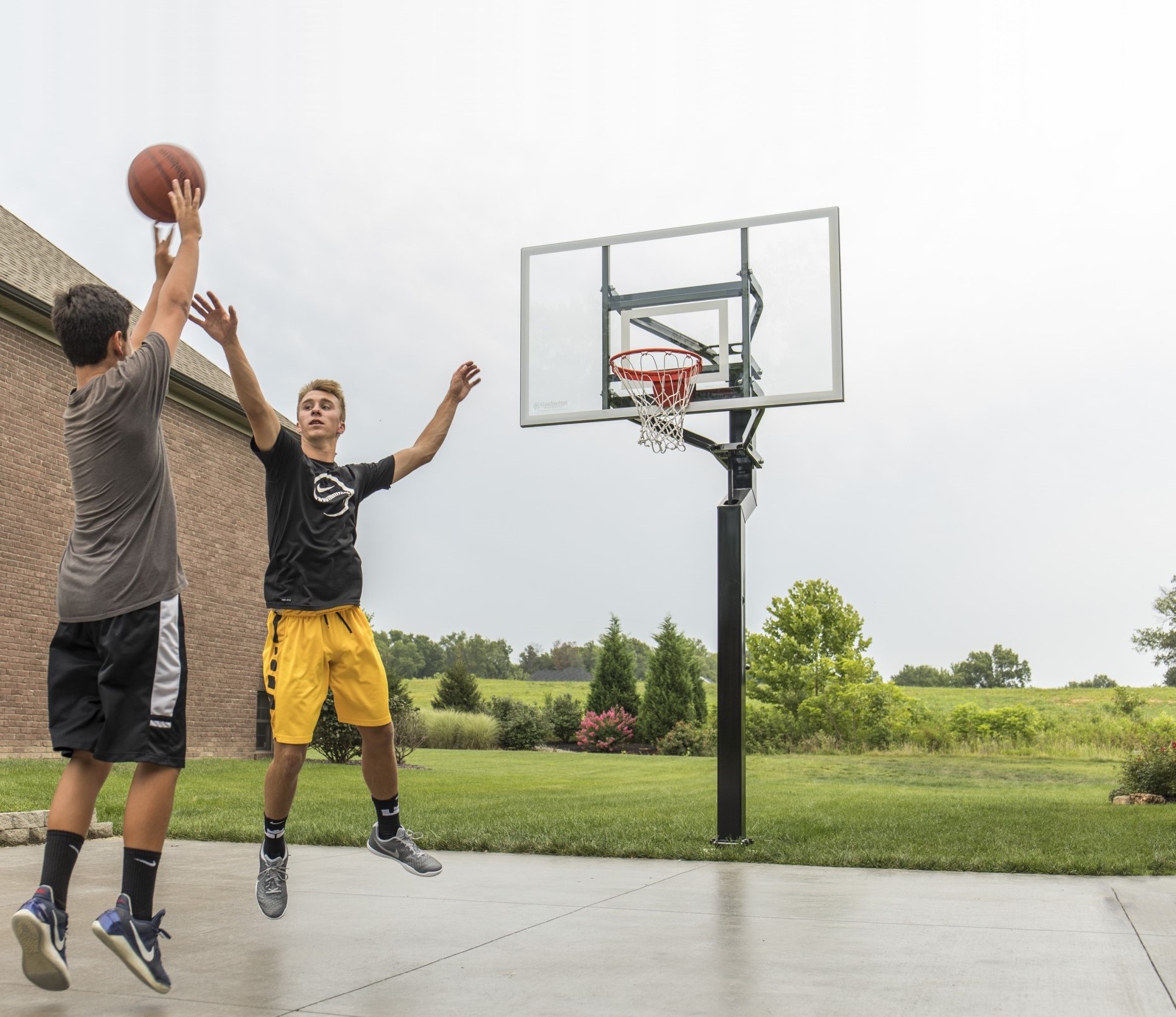 Lifetime 50 Adjustable In-Ground Basketball Hoop